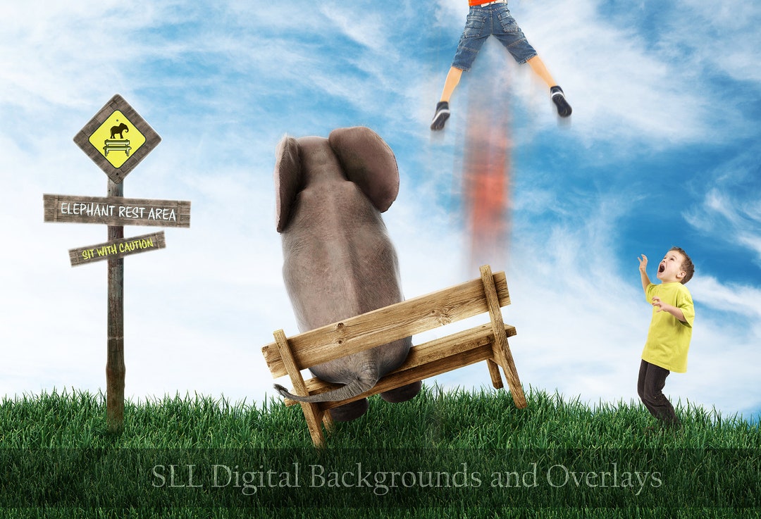 Elephant Sitting on Bench Digital Backdrop Background Elephant PREMIUM