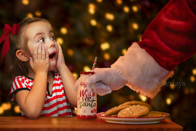 Milk for Santa Christmas Digital Backdrop Background for - Etsy