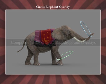 Circus Elephant Overlay for Composite Photos, Circus Clip Art, Digital Backdrop elements, Circus Overlays, For Photograph Composites