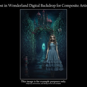 Alice Wonderland Digital Background for Photography Composite Art / Wonderland Backdrop / Queen of Hearts / Photo Composition
