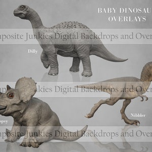 Pode incluir: Tr&ecirc;s dinossauros beb&eacute;s, um braquiossauro cinzento, um tricer&aacute;topo cinzento e um tiranossauro rex castanho, s&atilde;o mostrados contra um fundo cinzento. Os dinossauros s&atilde;o etiquetados como "Dilly", "Topsy" e "Nibbler". O texto "BABY DINOSAUR OVERLAYS" est&aacute; no topo da imagem. O texto "Composite Junkies Digital Backdrops and Overlays" aparece tr&ecirc;s vezes na imagem.