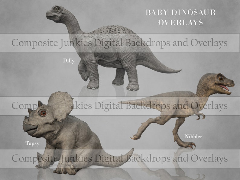 Pode incluir: Tr&ecirc;s dinossauros beb&eacute;s, um braquiossauro cinzento, um tricer&aacute;topo cinzento e um tiranossauro rex castanho, s&atilde;o mostrados contra um fundo cinzento. Os dinossauros s&atilde;o etiquetados como "Dilly", "Topsy" e "Nibbler". O texto "BABY DINOSAUR OVERLAYS" est&aacute; no topo da imagem. O texto "Composite Junkies Digital Backdrops and Overlays" aparece tr&ecirc;s vezes na imagem.