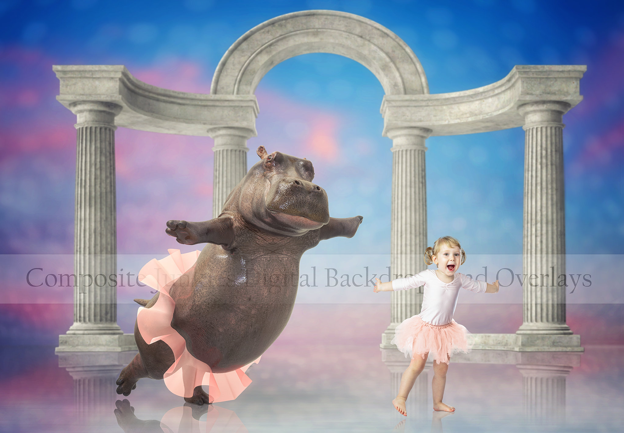 Hippo Dancing in Tutu Digital Background for Composite Imagery Etsy