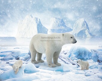 LYLYCTY 7x5Ft The Polar Bear Backdrop Snow Photography Backdrop Vinyl Festival Theme Party Banner Photo Shooting Props Background LYZY1100 LYLYCTY 7x5Ft The Polar Bear Backdrop Snow Photography Backdrop Vinyl Festival Theme Party Banner Photo Shooting Props Background LYZY1100