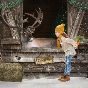 Christmas Digital Backdrop | Reindeer Backdrop | Window Digital Backdrop | Deer Backdrop | Snow {PREMIUM}