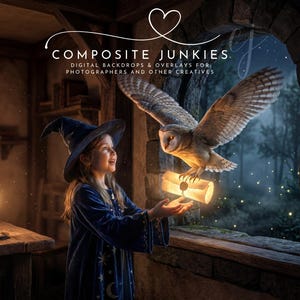May include: A young person in a blue wizard robe and hat looks up at a large owl holding a scroll. The owl is flying through a window. The image has the text "COMPOSITE JUNKIES" at the top.