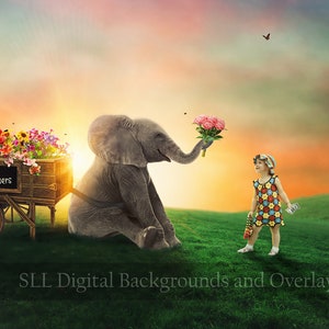 Baby Elephant Digital Background Backdrop, Photography Backdrop, Photoshop Background, Composite Image, For Photographers, Flowers, Spring