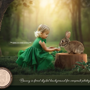 Easter Digital Backdrop | Child&#39;s Digital Backdrop | Easter Background | Easter Rabbit | Easter Bunny Backdrop | Digital Download | Forest