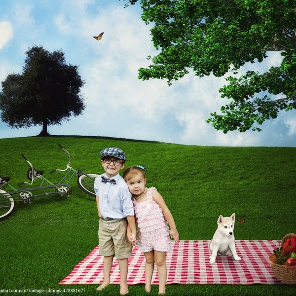 CLEARANCE Picnic Digital Background