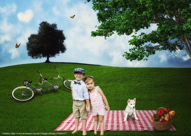 CLEARANCE Picnic Digital Background image 1