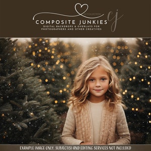 Christmas Tree Farm Bokeh Lights Digital Backdrop for Photo Manipulations, Holiday Background for Image Compositions, Photoshop Overlays