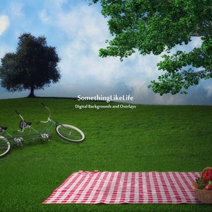 CLEARANCE Picnic Digital Background image 2