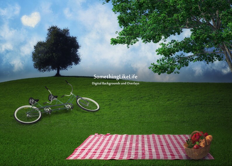CLEARANCE Picnic Digital Background image 2