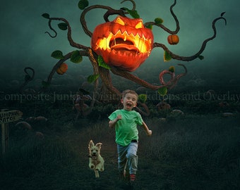 Monster Pumpkin Digital Backdrop - Pumpkin Patch - Halloween Digital Backdrop - Scary Digital Background {PREMIUM}