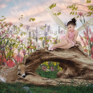 Op de afbeelding: Een jong meisje verkleed als fee zit op een grote, verweerde boomstam in een veld vol wilde bloemen. Een klein hert ligt op de grond bij de boomstam. De achtergrond is een zachte, roze en blauwe zonsondergang.