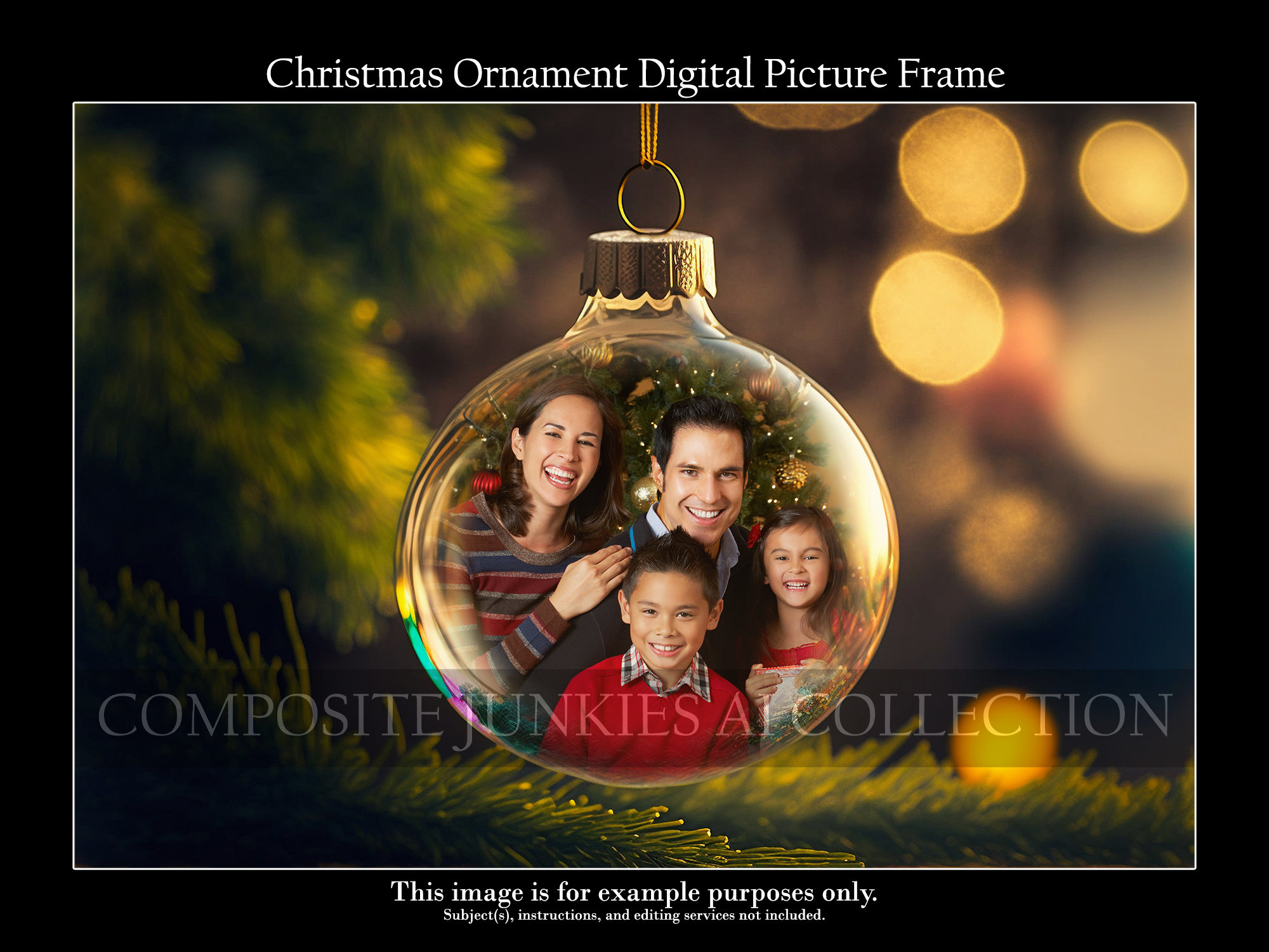 Christmas ornament digital photo frame Outlet