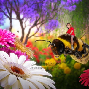Bee Flying Digital Background | Bumblebee Digital Backdrop