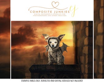 Gargoyle Pet Costume Overlay, Fantasy Digital Backdrop, Gothic Castle Photoshop Composite, Dark Fairytale Digital Outfit, Pet Photography