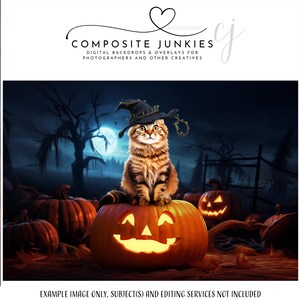 May include: A digital backdrop featuring a tabby cat wearing a witch hat, perched atop a carved pumpkin. The scene is set at night with a full moon, surrounded by other pumpkins and a spooky atmosphere. Text reads "COMPOSITE JUNKIES".