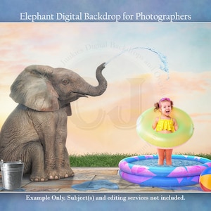 Elephant Digital Background, Summer Digital Backdrop, Composite, Digital Backgrounds, Overlays, Composite Backdrop