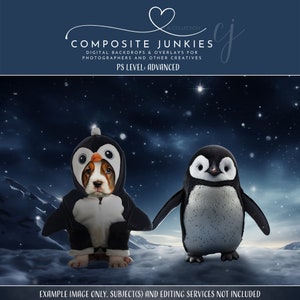 Pet or Child Adorable Penguin Digital Photography Backdrop for Composites Images, Cute Winter Background for Photo Manipulations