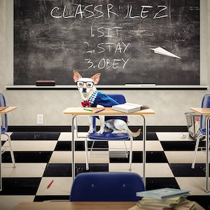 Back to school Digital Backdrop Background for Photography Composites, Classroom Digital Backdrops for Photographers