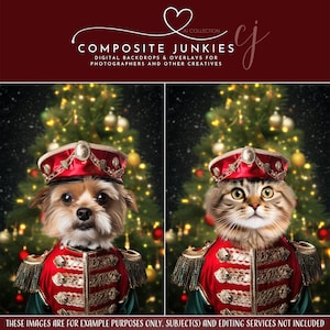 Pet Portrait Nutcracker Drummer Boy Digital Photography Backdrop for Photo Manipulations, Holiday Background for Cats or Dogs, Greeting Card