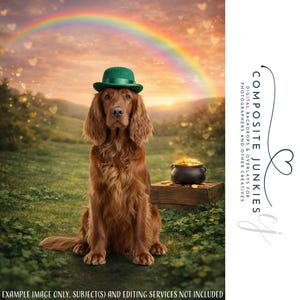 May include: A brown dog wearing a green hat sits in a field with a rainbow overhead. A pot of gold sits on a wooden box. The image has the text "COMPOSITE JUNKIES" and "EXAMPLE IMAGE ONLY. SUBJECT(S) AND EDITING SERVICES NOT INCLUDED."