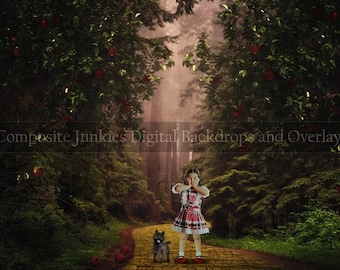 Yellow Brick Road Digital Backdrop Background for Composite Imagery | Road to OZ Background | Wicked Witch Digital Backdrop