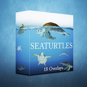 Sea turtle Overlays {PREMIUM}