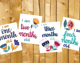 Baby Milestone Cards X37, Printable, Dark, Watercolour, Floral, Digital ...