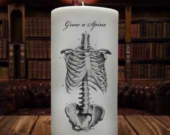 Grow a Spine // Anatomy Art // Skeleton Candle // Halloween Decor // Spooky Creepy Candle // Anatomical Drawing