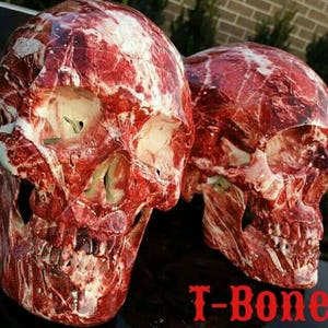 T-Bone Skull image 1