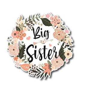 Big Sister Iron on Decal Baby Announcement Heat Transfer Big Sis Shirt Gift Little Sister Outfit Iron on Decal Ready to press