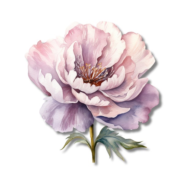 Flower Iron on Transfer Peonies Flower Heat Transfer Design Floral Embellishments Peony Bloom DIY Clothing Embellishment Ready to press