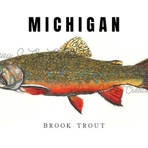Puede incluir: Una pintura de acuarela de una trucha de arroyo, el pez del estado de Michigan. El pez está representado en un estilo realista con escamas y aletas detalladas. El fondo es blanco con la palabra "MICHIGAN" en texto negro sobre el pez y "BROOK TROUT" en texto negro debajo del pez.
