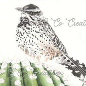 Original Watercolor Painting - Cactus Wren 5x7 & 8x11 - Digital Download!
