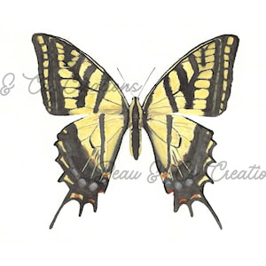 May include: Watercolor painting of a yellow and black butterfly with intricate wing patterns. The butterfly has a symmetrical design, with black stripes and accents on a yellow background. The artwork is set against a white backdrop.