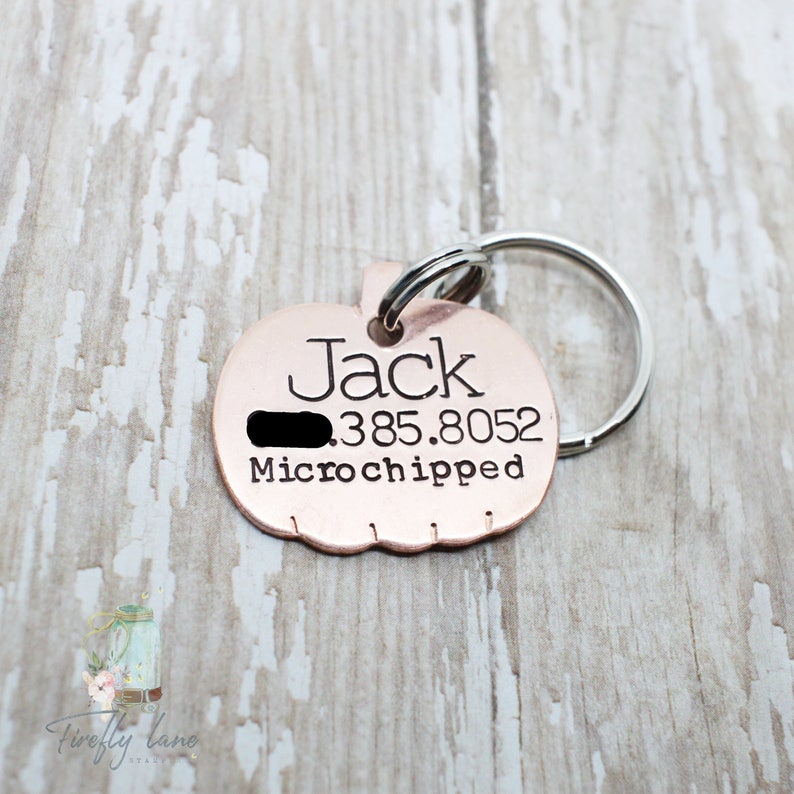 Hand stamped pumpkin dog tag / dog tags for tags / fall dog Etsy
