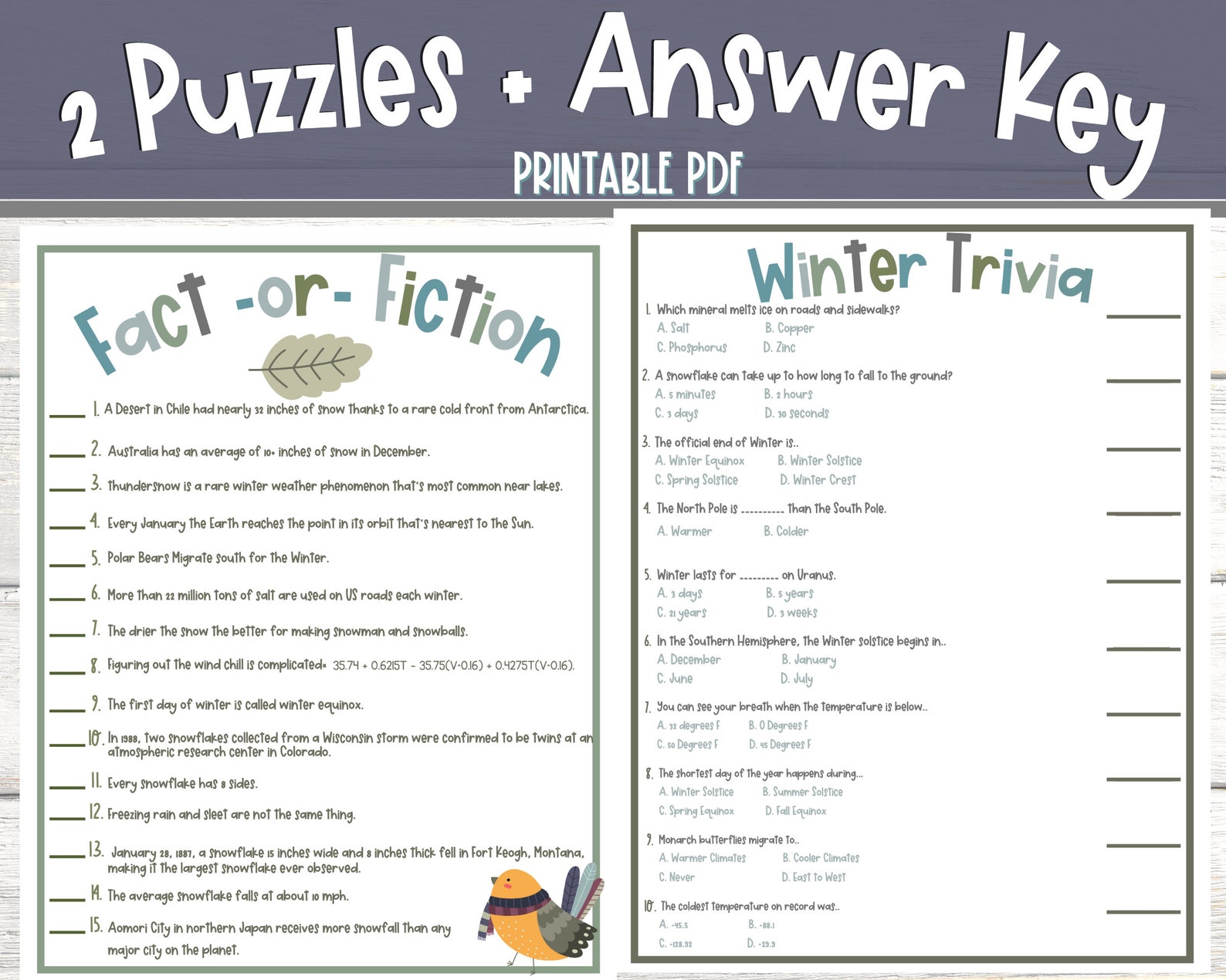 Winter Trivia Games, Party Games, Kids Winter Game, Classroom Trivia