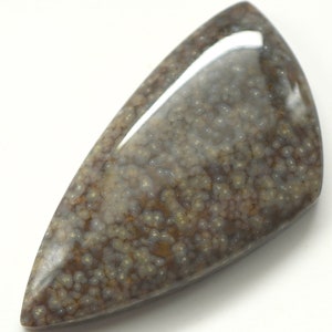 May include: A polished, light brown and gray gemstone cabochon with a speckled pattern. The stone has a teardrop shape.