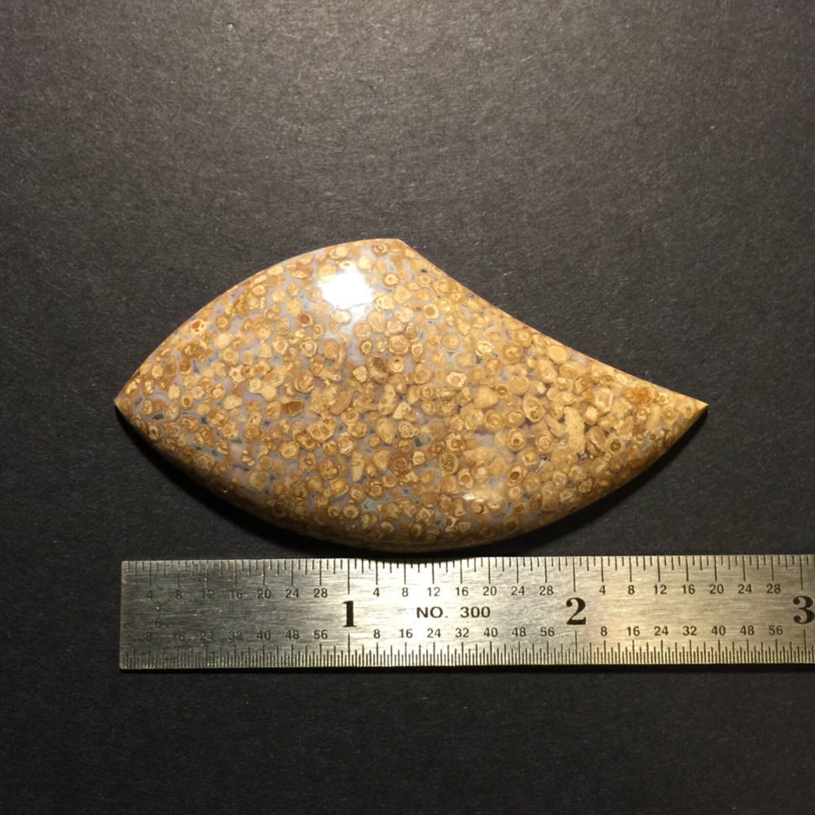florida oolite stone florida oolite stone