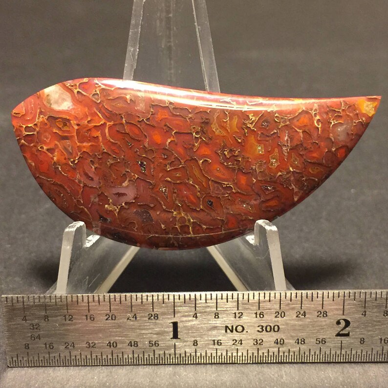 56 x 26 x 4 mm Fossilized Dinosaur Bone Cabochon