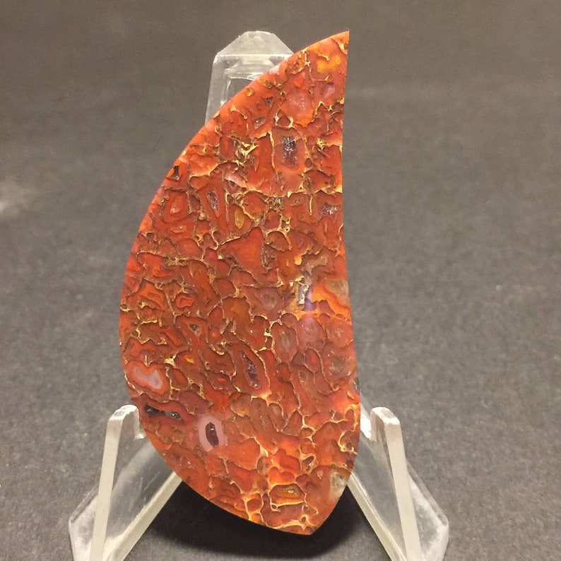 56 x 26 x 4 mm Fossilized Dinosaur Bone Cabochon