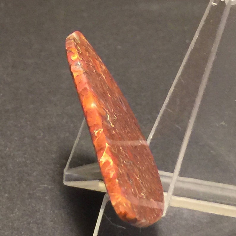 56 x 26 x 4 mm Fossilized Dinosaur Bone Cabochon