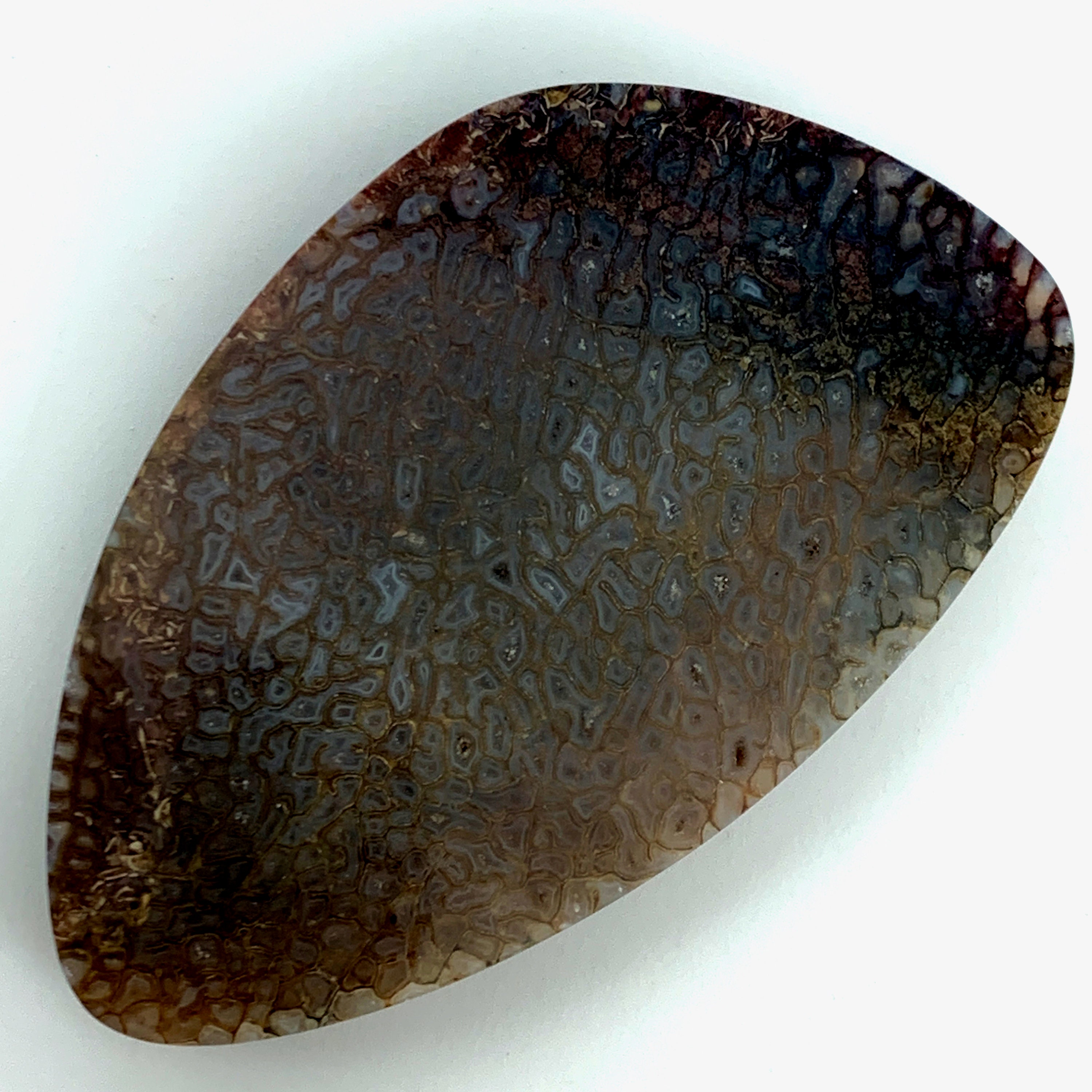 Fossilized Bone Cabochon From California - Etsy Fossilized Bone Cabochon From California - Etsy