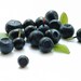 Acai and Blueberry Sweetened Flavor Oil for Lip Balms and Body Butter