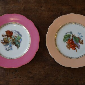 Antique 1920s German Dessert Plates - Raspberry and Peach Color Dessert Plates - Porcelain Dessert Plates - Cottagecore Plate Decor