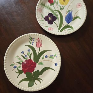 Vintage Blue Ridge Southern Potteries Dinner/Luncheon Plates 9 inch plates