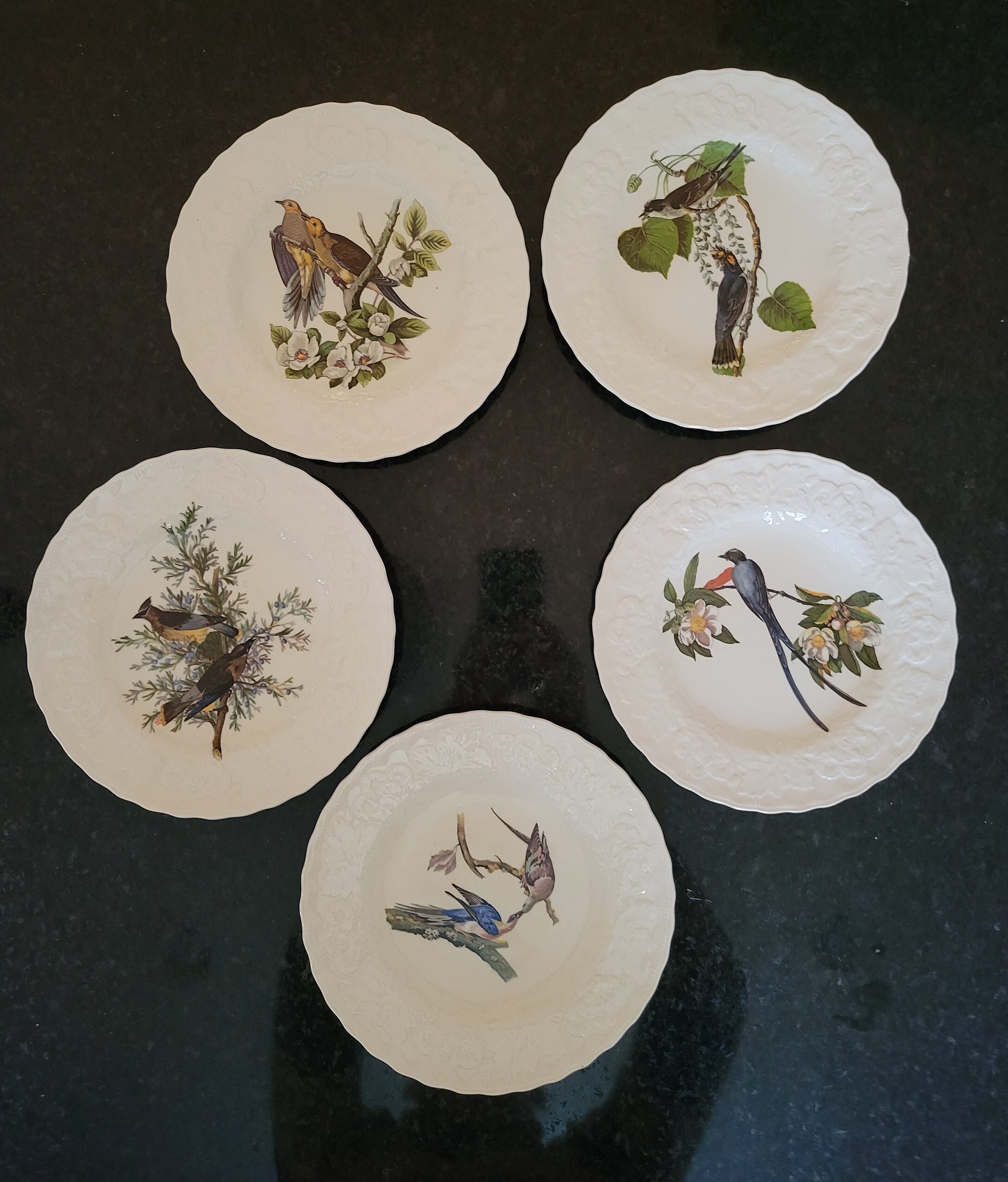 アメリカのオーデュボン鳥からヴィンテージアルフレッドミーキン正方形